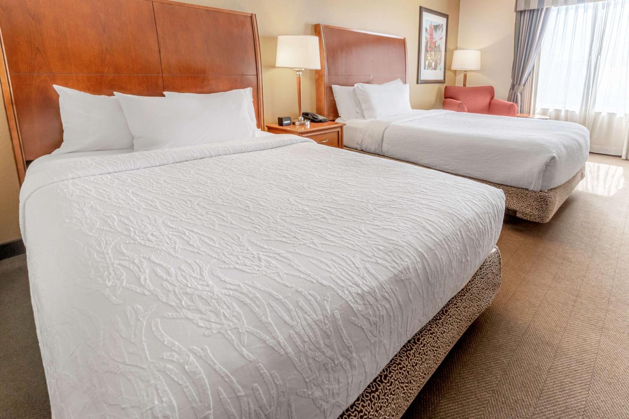 Hilton Garden Inn Houston/The Woodlands Eksteriør billede